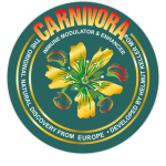 Carnivora