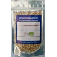PINE NUTS Organic (ΚΟΥΚΟΥΝΑΡΟΣΠΟΡΟΣ)