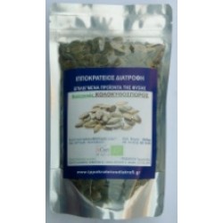 PUMPKIN Seeds Organic (ΚΟΛΟΚΥΘΟΣΠΟΡΟΣ)
