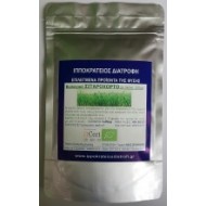 Wheatgrass Powder Organic (New Zealand)